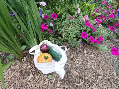 A white plastic bag with a cucumber, red onion and tomato. The community garden surrounds it.